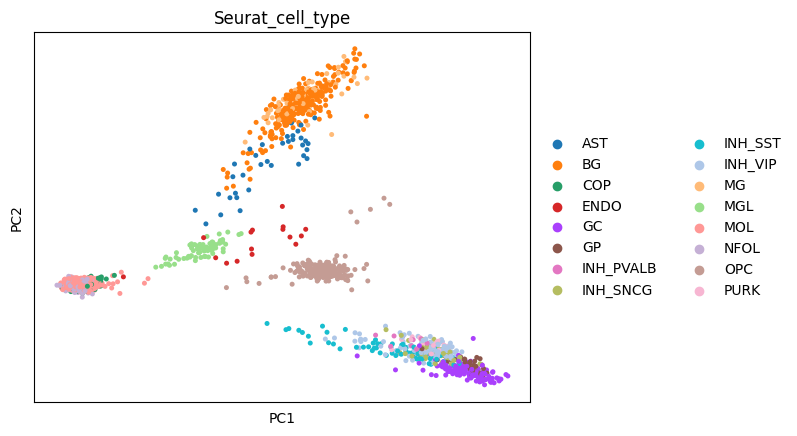 _images/human_cerebellum_scRNA_pp_21_1.png