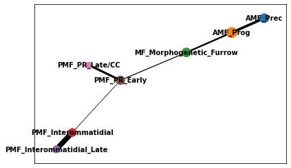 _images/Differentiation_tutorial-branched_RTD_18_0.png