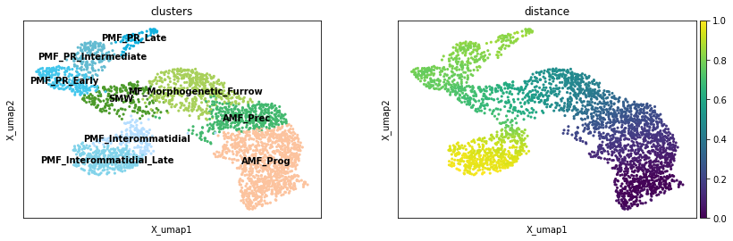 _images/Differentiation_tutorial-branched_RTD_38_2.png