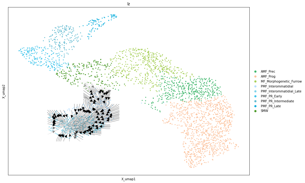_images/Differentiation_tutorial-branched_RTD_50_0.png