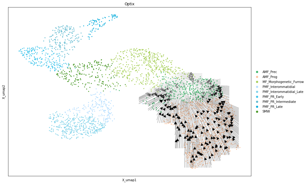 _images/Differentiation_tutorial-branched_RTD_53_0.png