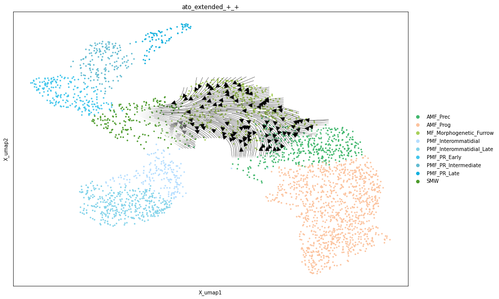 _images/Differentiation_tutorial-branched_RTD_55_0.png