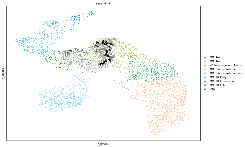_images/Differentiation_tutorial-branched_RTD_57_0.png