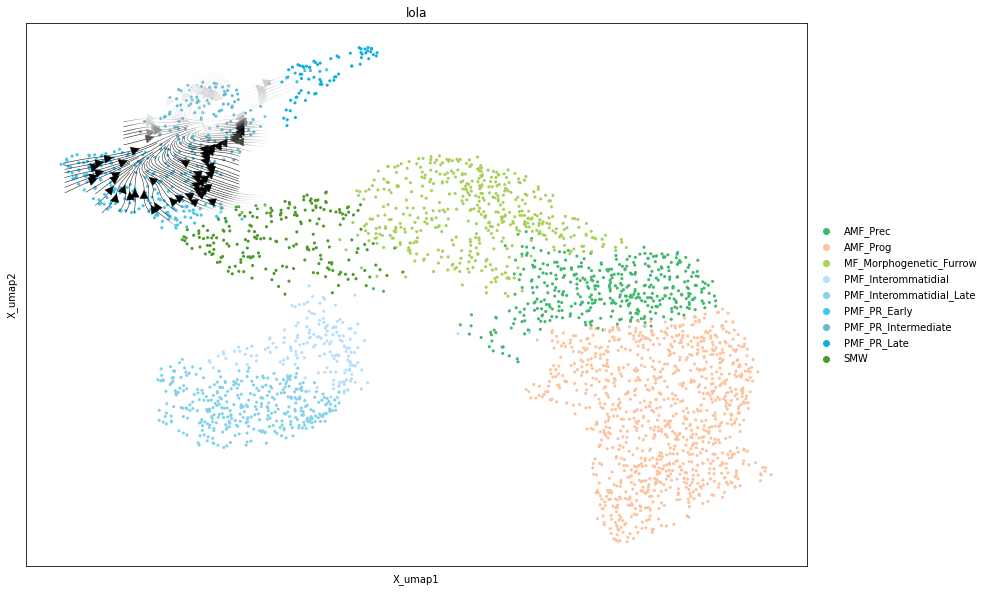 _images/Differentiation_tutorial-branched_RTD_61_0.png