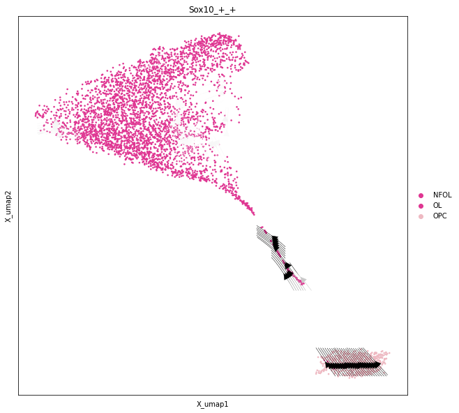 _images/Differentiation_tutorial_unbranched_RTD_50_0.png