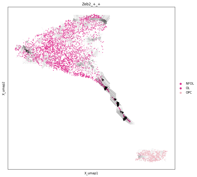 _images/Differentiation_tutorial_unbranched_RTD_52_0.png