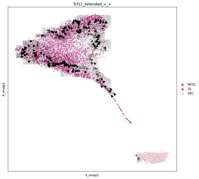 _images/Differentiation_tutorial_unbranched_RTD_54_0.png